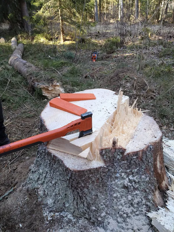 Työskentely moottorisahalla