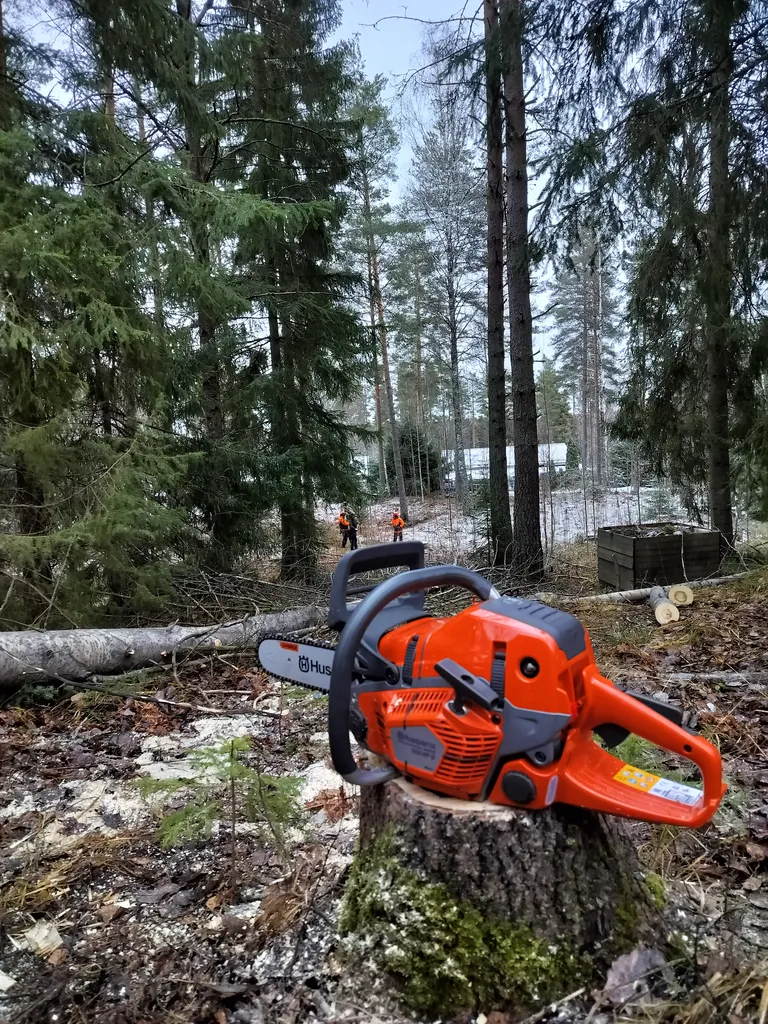 Työskentely moottorisahalla