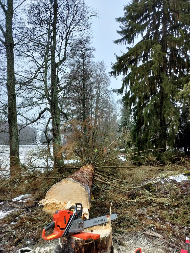 Työskentely moottorisahalla