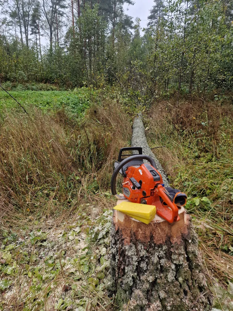 Työskentely moottorisahalla