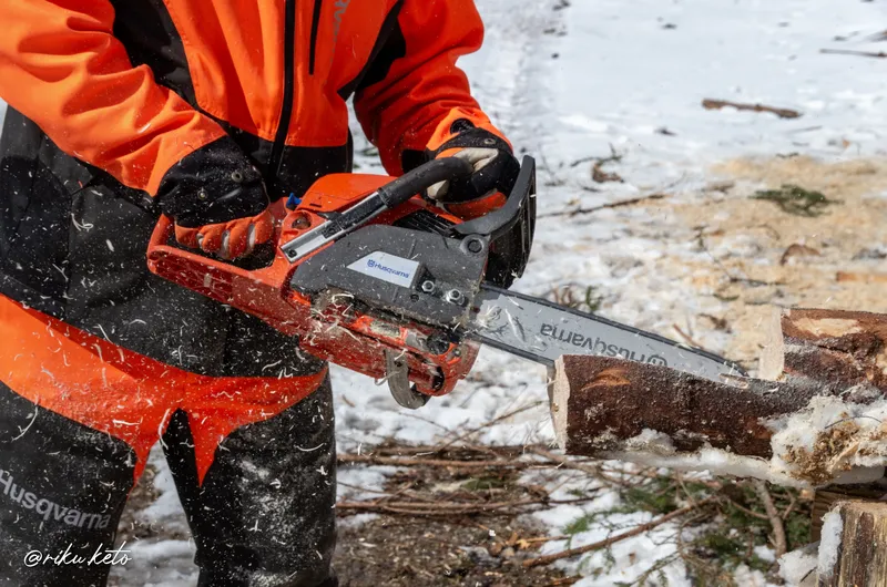 Linnunpöntön teko moottorisahalla – työvaihe