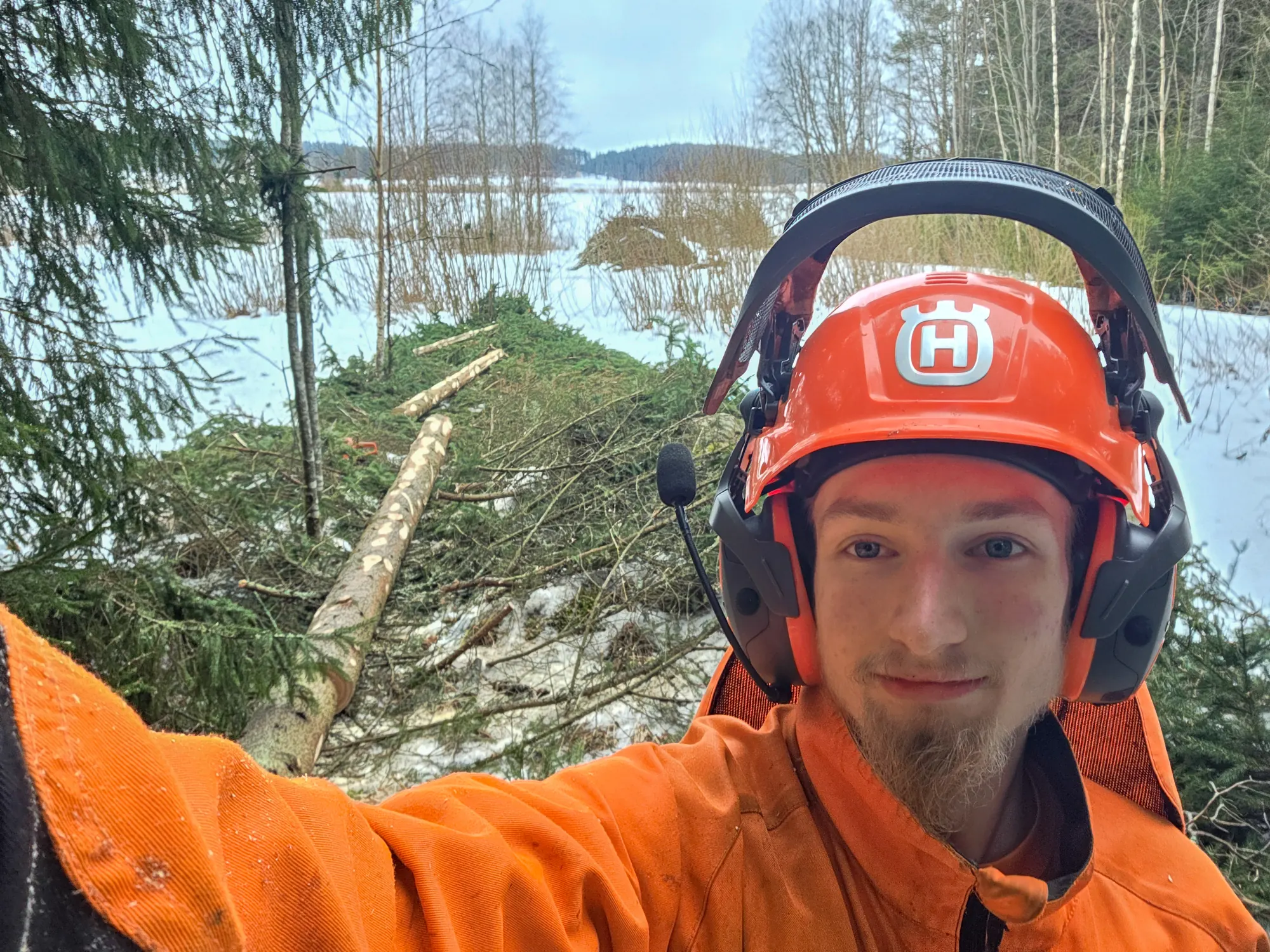 Metsuri työssä pihapuiden kaadossa