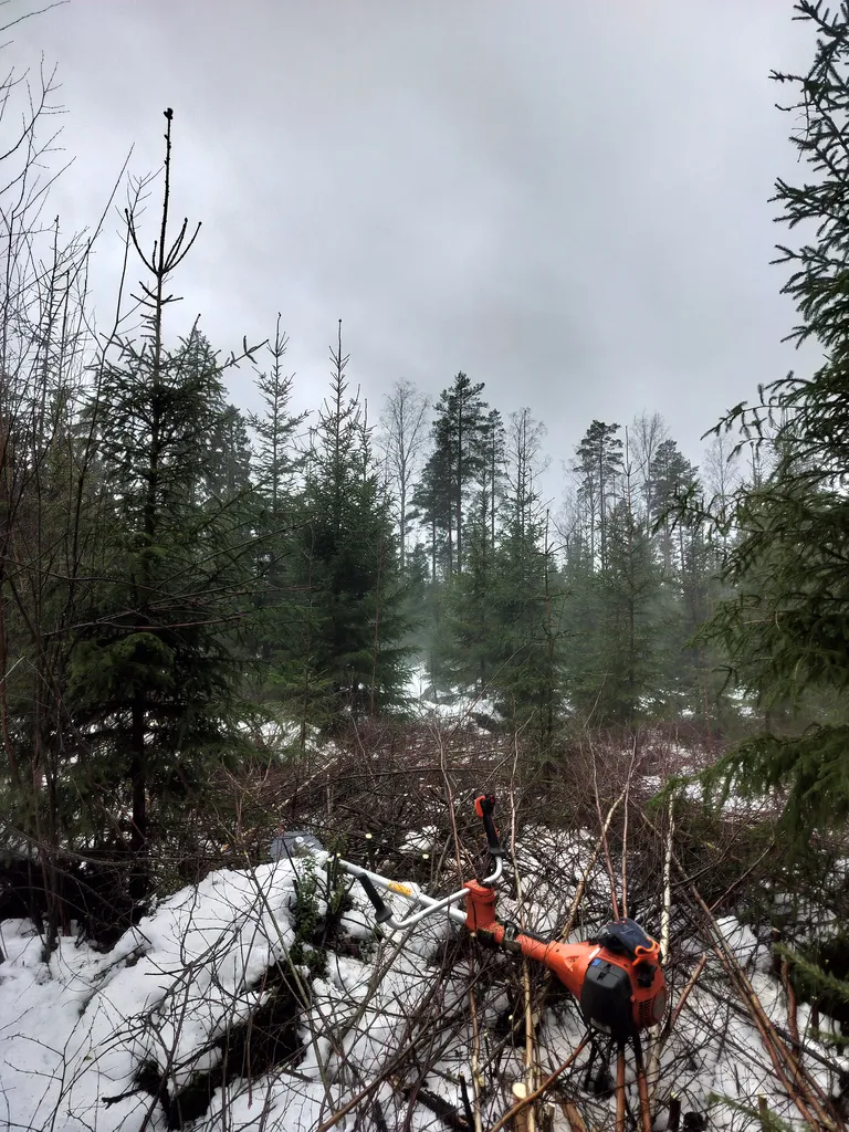 Työskentely Raivaussahalla