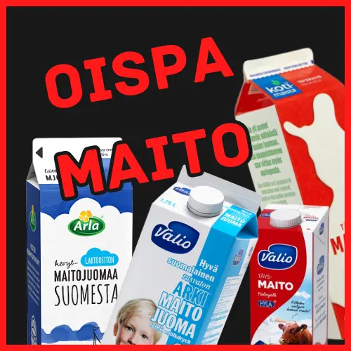 Oispa maitoo